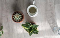 Кварцвиниловые полы Vinilam Click 3.7мм 20468 Дуб Ален фото 1 | FLOORDEALER